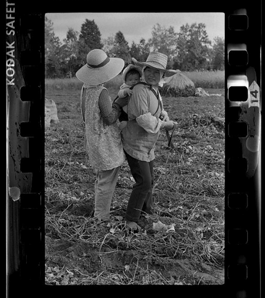 「日本方言図鑑」掲載 00010-00048-0010