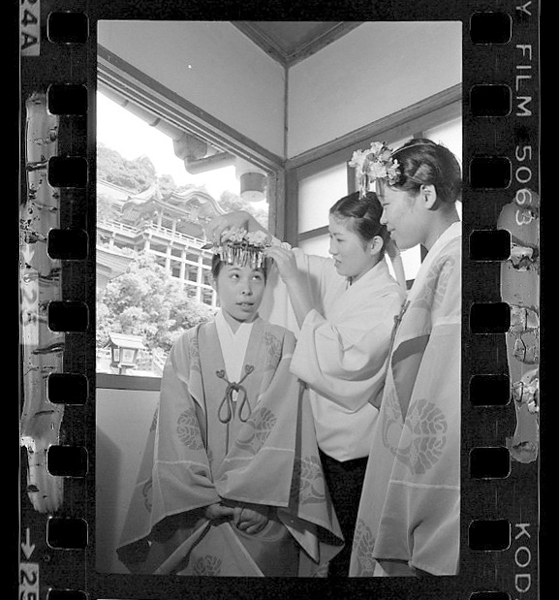 「日本方言図鑑」掲載 00010-00049-0005