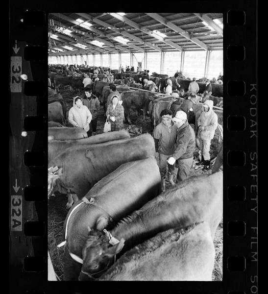 Asogunichimiyachouooazamiyajinomiyajikachikushijoudeha、2kagetsuni3kakan、asonoakaushinoshijougahirakareru。(28miri)