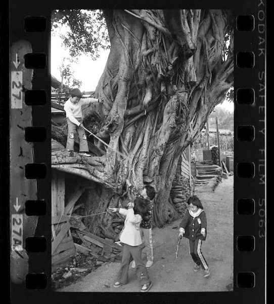 「日本方言図鑑」掲載 00010-00054-0005