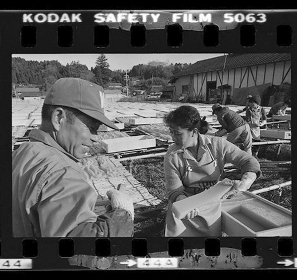 「日本方言図鑑」掲載 00010-00067-0021