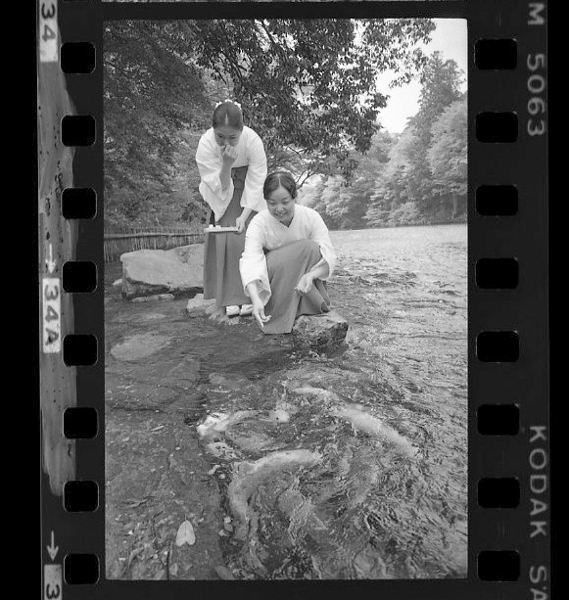 「日本方言図鑑」掲載 00010-00070-0021