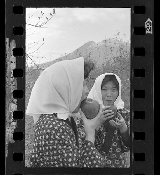 「日本方言図鑑」掲載 00010-00077-0022