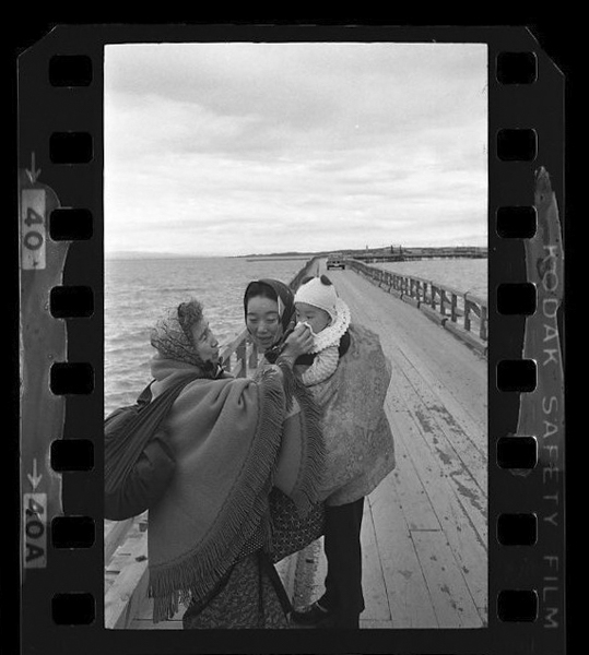 「日本方言図鑑」掲載 00010-00078-0007