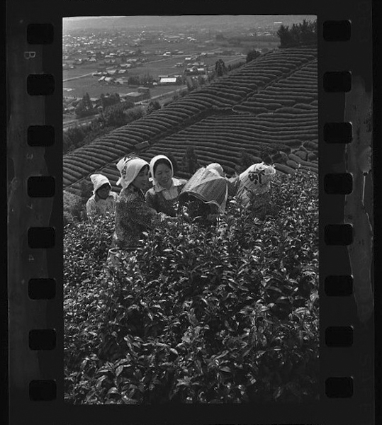 「日本方言図鑑」掲載 00010-00080-0014