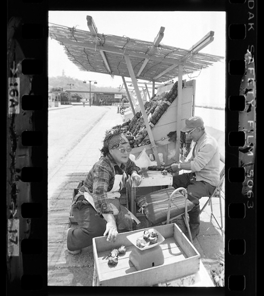 「日本方言図鑑」掲載 00010-00084-0002