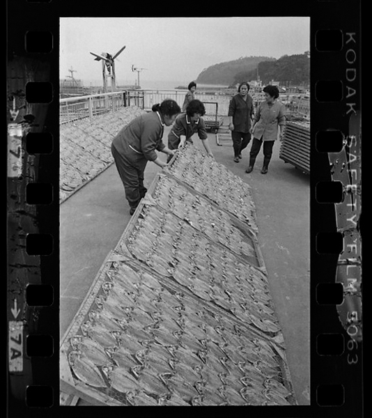 「日本方言図鑑」掲載 00010-00084-0016