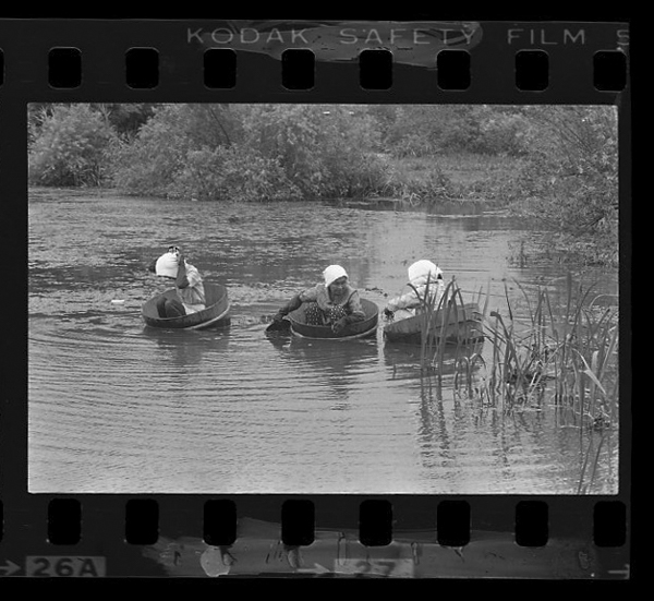 「日本方言図鑑」掲載 00010-00092-0006