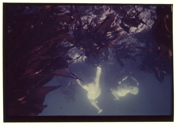 Suishingomētorugurai。aramenohayashiwowaketeemonowosagasu。