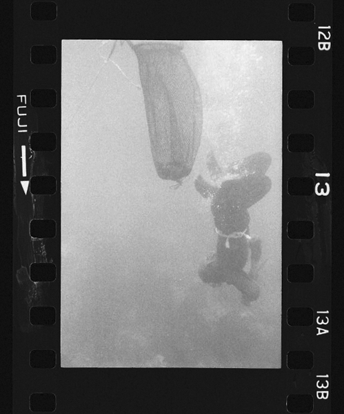 「海女 中村由信写真集」掲載 00010-00459-0017