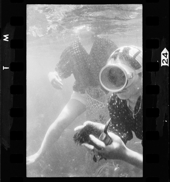 「海女 中村由信写真集」掲載 00010-00470-0006