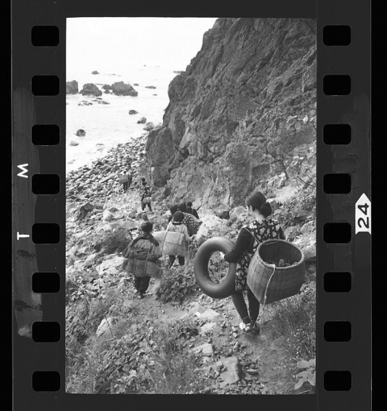 「海女 中村由信写真集」掲載 00010-00474-0023