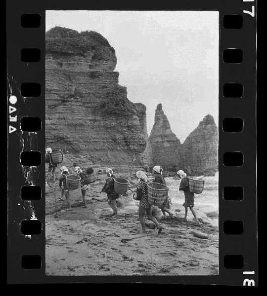 「海女 中村由信写真集」掲載 00010-00494-0019