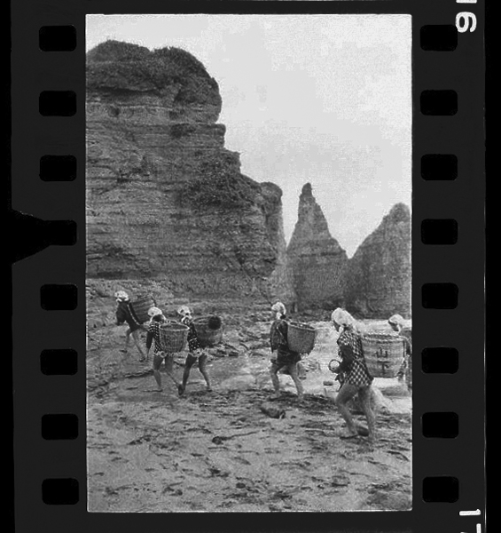 Seoikagononakanihameganekaraukitaru、isoganeyaisoginado、mogurinonanatsutsudouguwoireteiru。