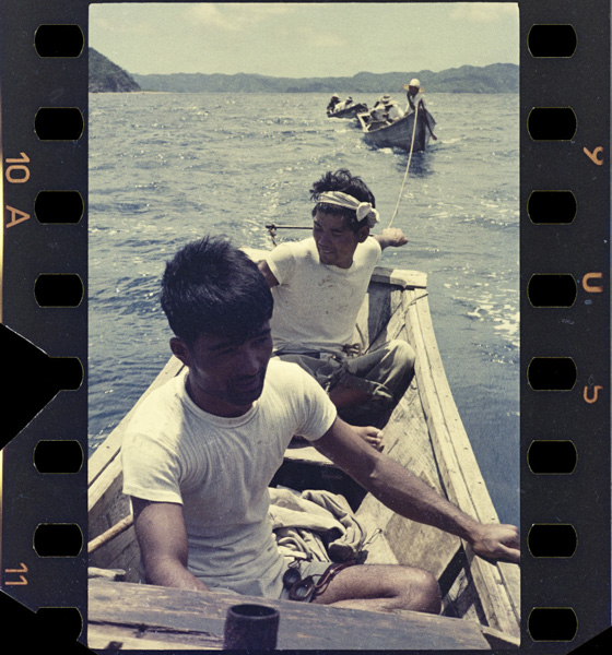 Gyojouhemukauoikoaminosendan amamikoniya