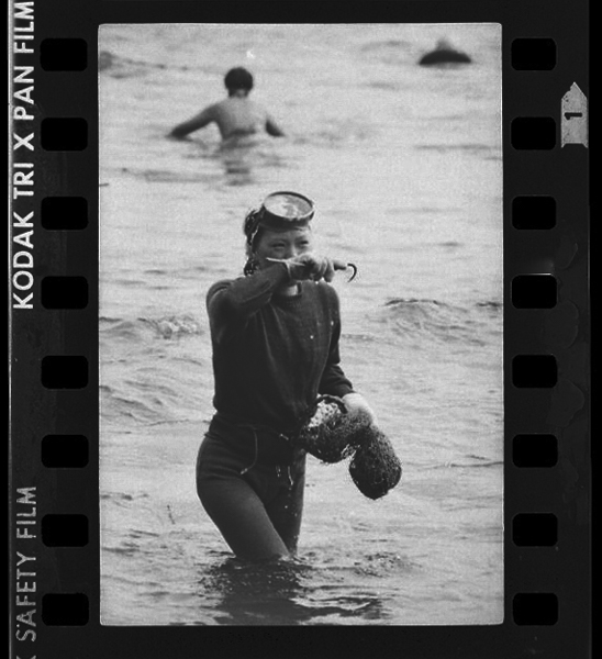 「海女 中村由信写真集」掲載 00010-00503-0028