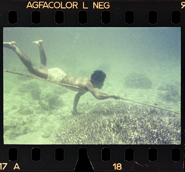 Futoigomuhimonodanryokudesattokuridasushikakenosanmētoruhodonomoriwoteni、sumikittakaiteiwojuuouniemonowoou。