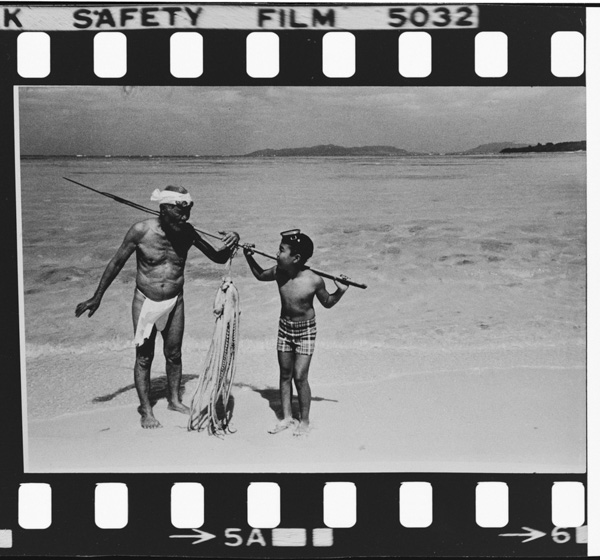 「日本方言図鑑」掲載 00010-00558-0024