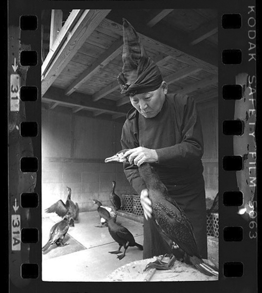 「日本方言図鑑」掲載 00010-00558-0039