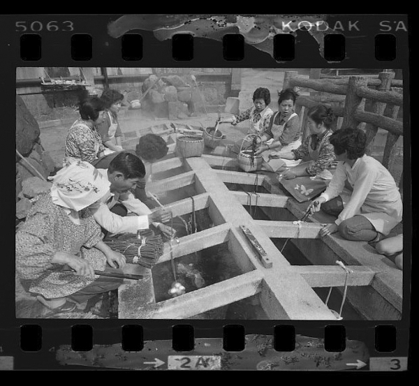 「日本方言図鑑」掲載 00010-00559-0036