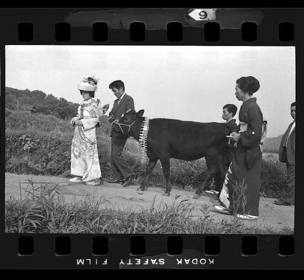 「日本方言図鑑」掲載 00010-00560-0034