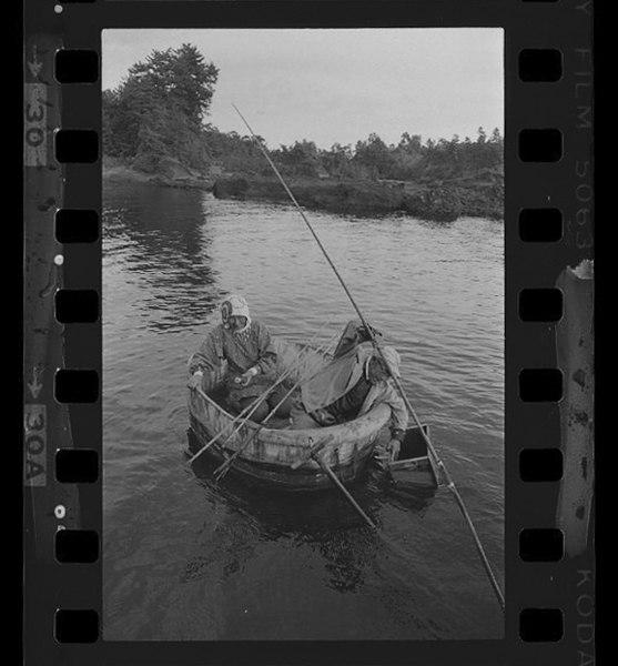 「日本方言図鑑」掲載 00010-00562-0034