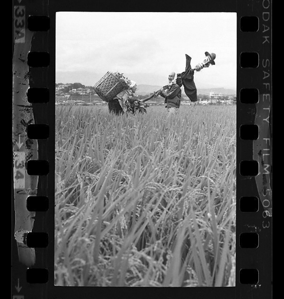 「日本方言図鑑」掲載 00010-00565-0005