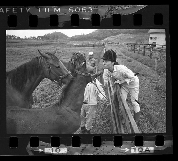 「日本方言図鑑」掲載 00010-00565-0024