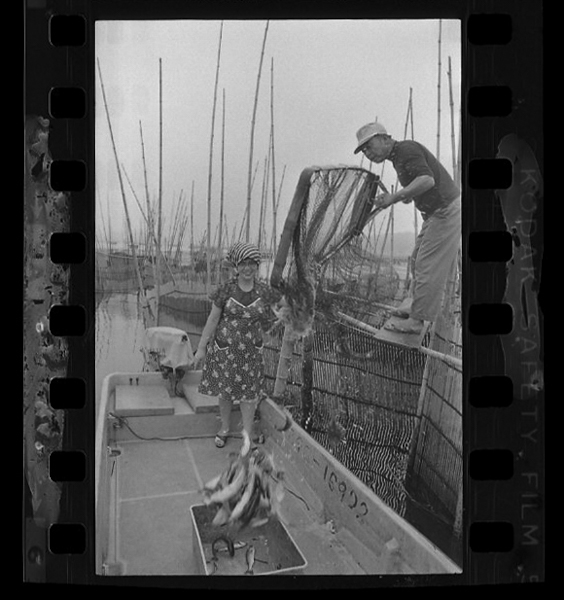 「日本方言図鑑」掲載 00010-00573-0030