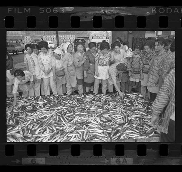 「日本方言図鑑」掲載 00010-00578-0026