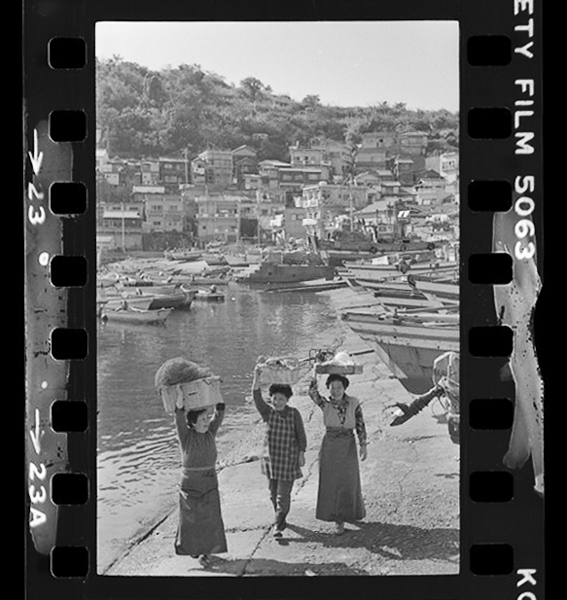 「日本方言図鑑」掲載 00010-00578-0041