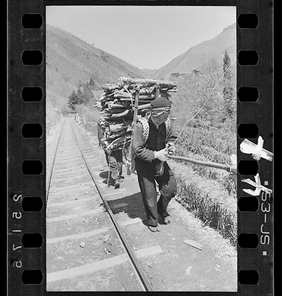 Toromichiwotootteyamakaramakiwohakobu