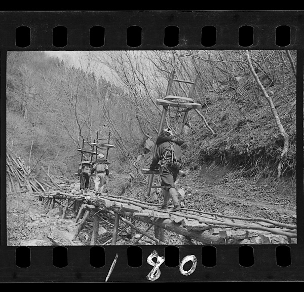 Mokubawokataniikuunzaifu