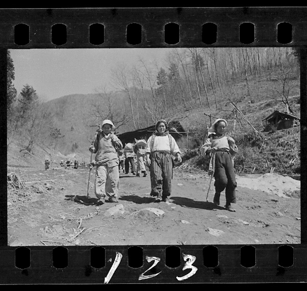 Saboukoujidehatarakuhito