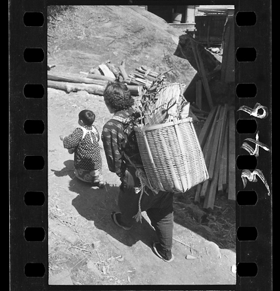 Nandemokagoniiretehakobu