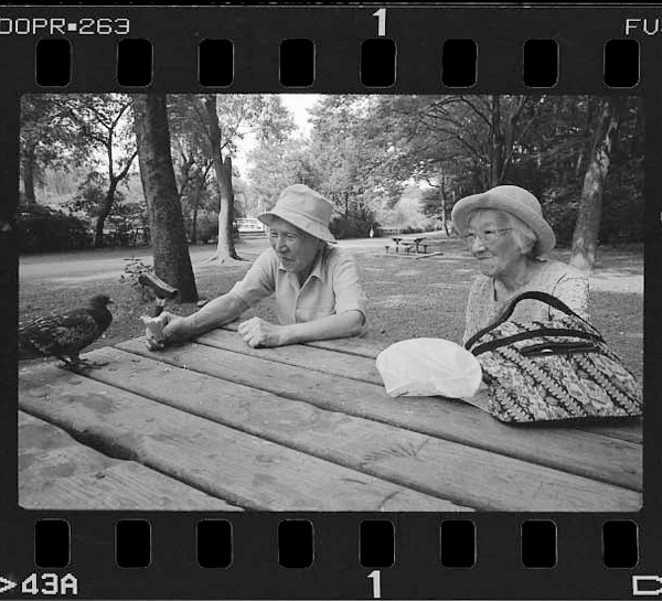 5-chome, Syakujii-machi, Nerima-ku