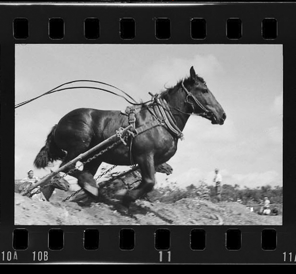 「北と東の人間録 石橋寿子写真集」掲載 00022-00003-0020
