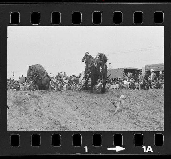 「北と東の人間録 石橋寿子写真集」掲載 00022-00003-0029