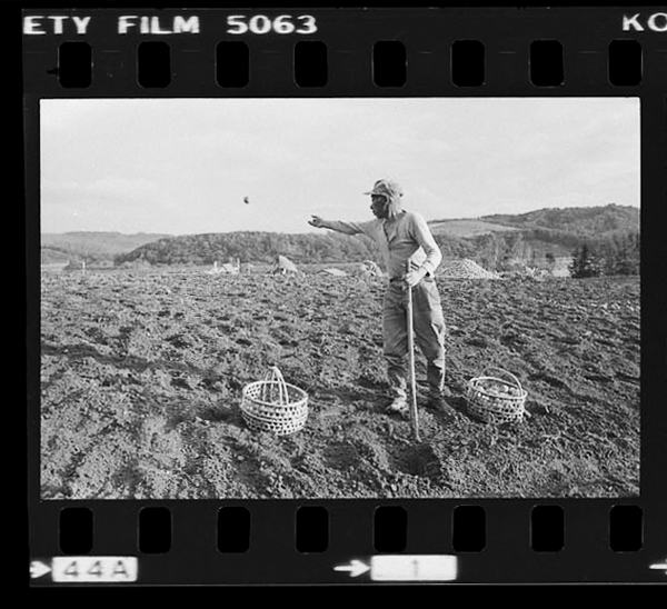 「北と東の人間録 石橋寿子写真集」掲載 00022-00005-0031