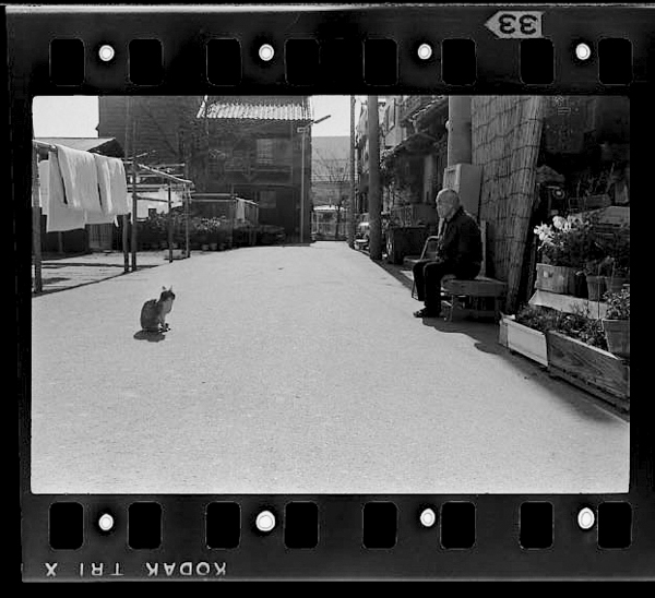 「北と東の人間録 石橋寿子写真集」掲載 00022-00012-0037