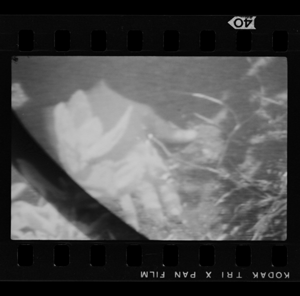 「meet again」掲載 00032-00065-0003