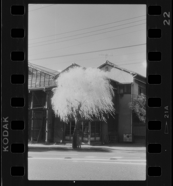 23, OCT, '85 Kiba 4chome