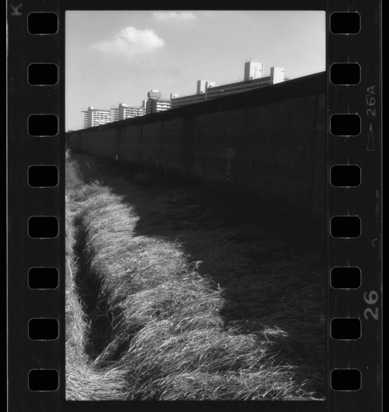 22, FEB, '86 Sumida River