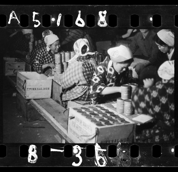 Nihonnoyuujou chiriheimonhinwo