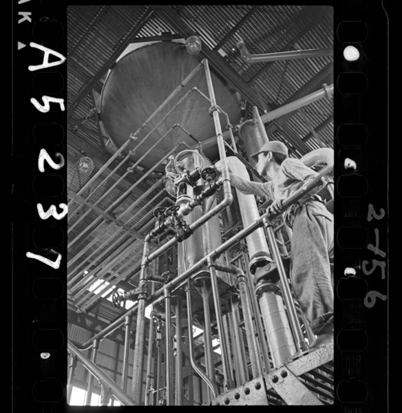 Gasorinniarukōrugakonnyuusaremasu