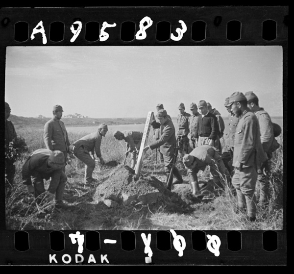 Bujinniikkikunonamida