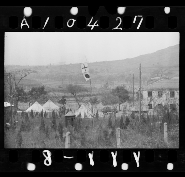 Karihoutaimotamanonaka