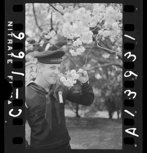 Asutorianomusubunichibeishinzen