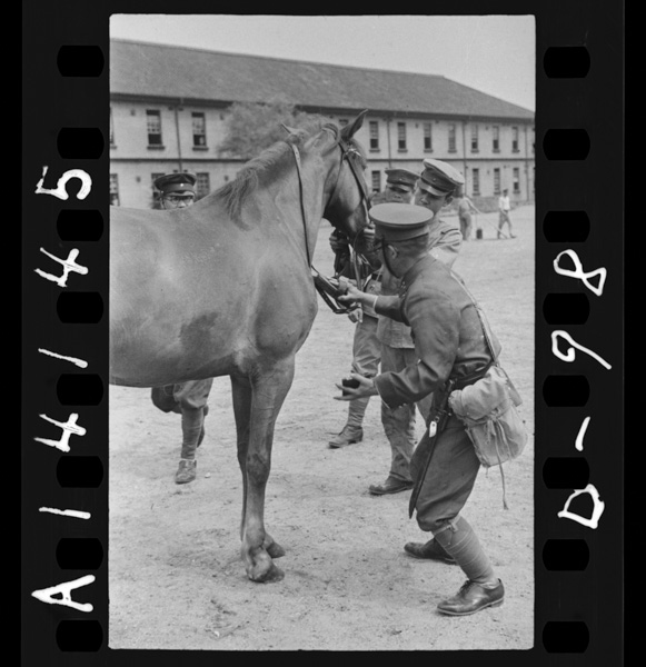 Kouchousenseimoshonenhei