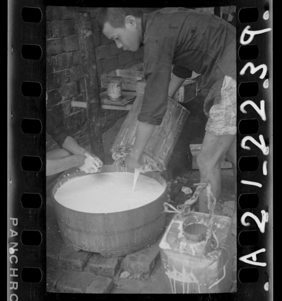 Gomunokihakainantounimewofuita